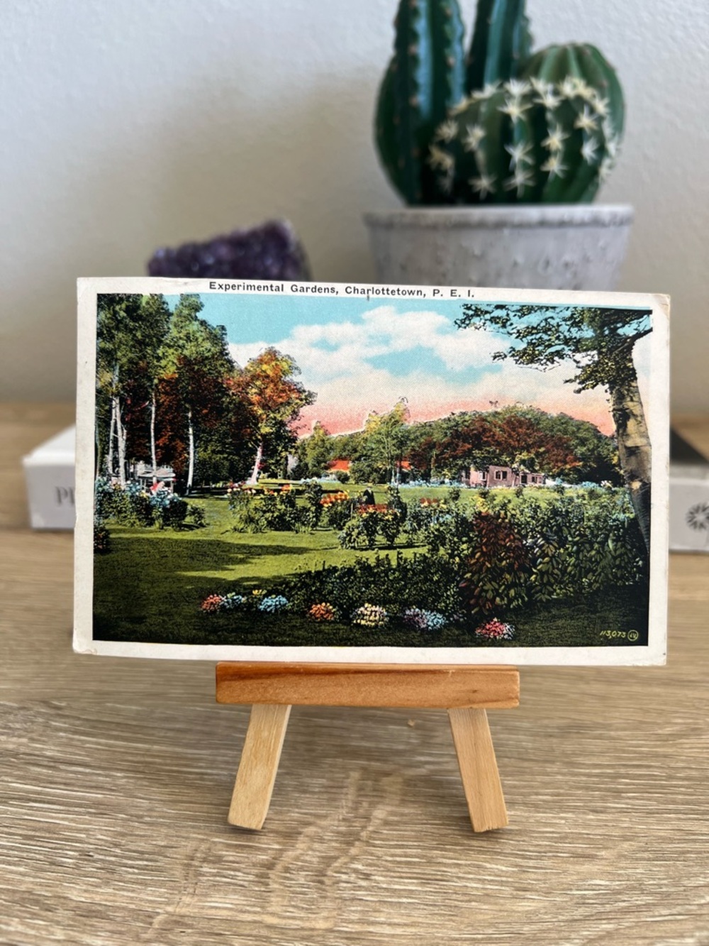 Antique 1910s Postcard‎ Experimental Gardens Charlottetown PEI Canada Used